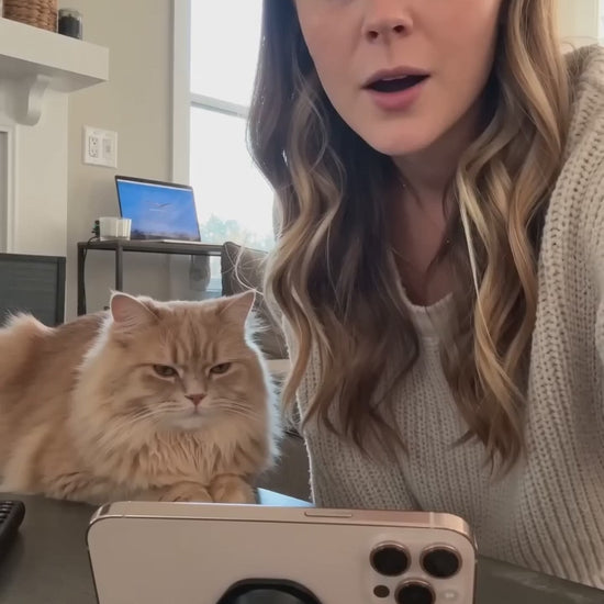 SmartSense Interactive Cat Toy version 2 demo video