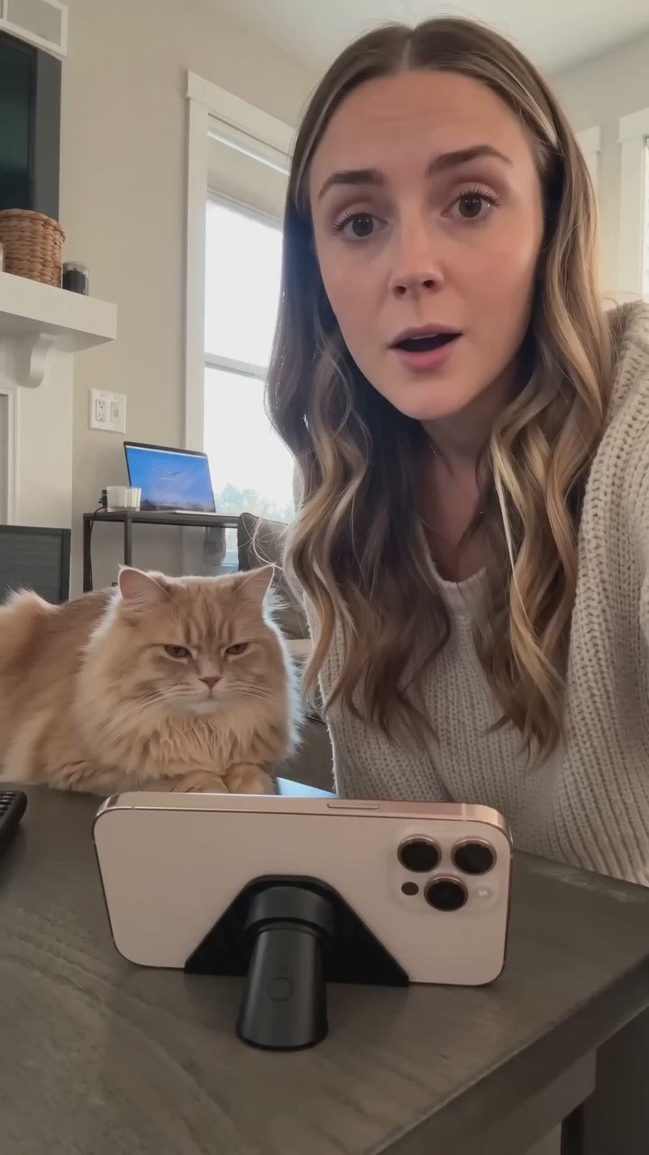 SmartSense Interactive Cat Toy version 2 demo video
